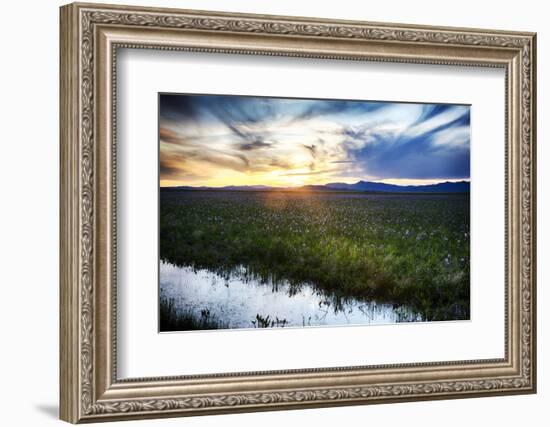 USA, Idaho, Fairfield, Camas Prairie, Sunset in the Camas Prairie-Terry Eggers-Framed Photographic Print