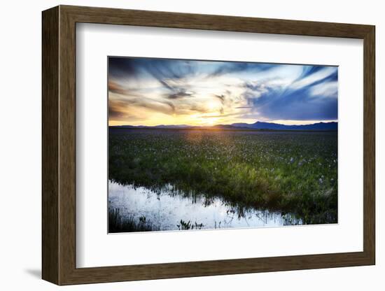 USA, Idaho, Fairfield, Camas Prairie, Sunset in the Camas Prairie-Terry Eggers-Framed Photographic Print