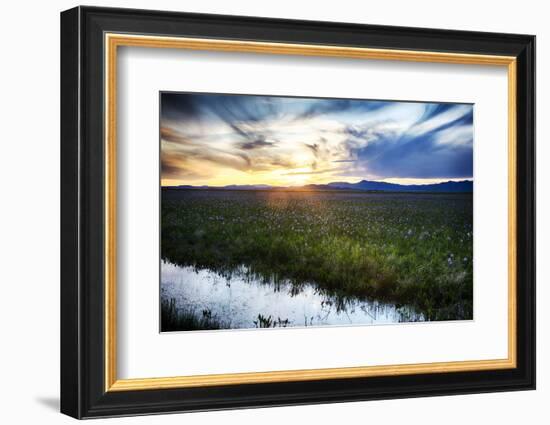 USA, Idaho, Fairfield, Camas Prairie, Sunset in the Camas Prairie-Terry Eggers-Framed Photographic Print