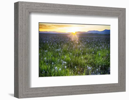 USA, Idaho, Fairfield, Camas Prairie, Sunset in the Camas Prairie-Terry Eggers-Framed Photographic Print