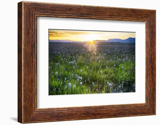 USA, Idaho, Fairfield, Camas Prairie, Sunset in the Camas Prairie-Terry Eggers-Framed Photographic Print