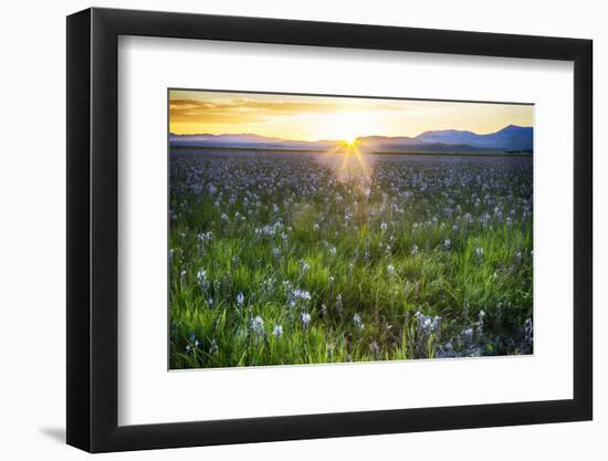 USA, Idaho, Fairfield, Camas Prairie, Sunset in the Camas Prairie-Terry Eggers-Framed Photographic Print