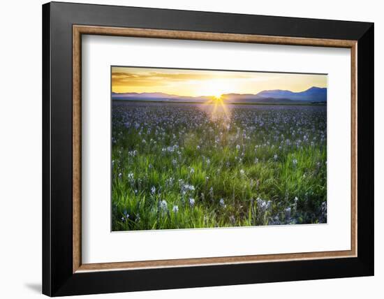 USA, Idaho, Fairfield, Camas Prairie, Sunset in the Camas Prairie-Terry Eggers-Framed Photographic Print