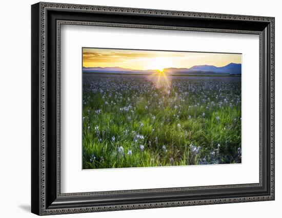 USA, Idaho, Fairfield, Camas Prairie, Sunset in the Camas Prairie-Terry Eggers-Framed Photographic Print