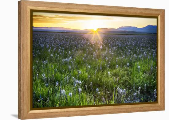 USA, Idaho, Fairfield, Camas Prairie, Sunset in the Camas Prairie-Terry Eggers-Framed Premier Image Canvas