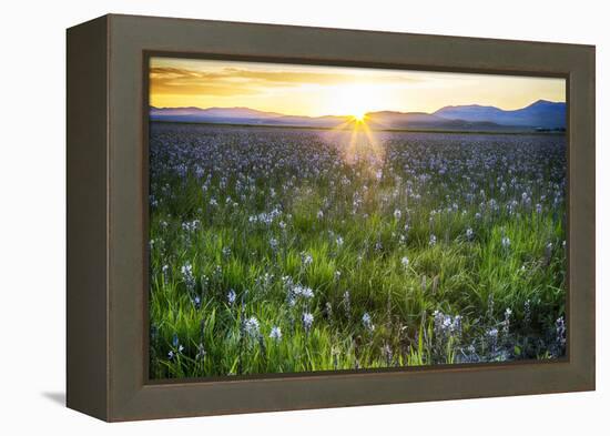 USA, Idaho, Fairfield, Camas Prairie, Sunset in the Camas Prairie-Terry Eggers-Framed Premier Image Canvas