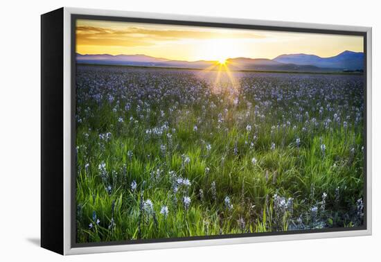 USA, Idaho, Fairfield, Camas Prairie, Sunset in the Camas Prairie-Terry Eggers-Framed Premier Image Canvas