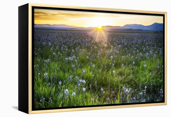 USA, Idaho, Fairfield, Camas Prairie, Sunset in the Camas Prairie-Terry Eggers-Framed Premier Image Canvas