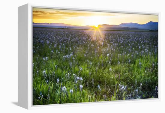 USA, Idaho, Fairfield, Camas Prairie, Sunset in the Camas Prairie-Terry Eggers-Framed Premier Image Canvas