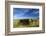 USA, Idaho, Fairfield, Horse Drawn Hay Rake in Field-Terry Eggers-Framed Photographic Print