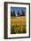 USA, Idaho, Freeze Community Church surrounded by harvest Wheat-Terry Eggers-Framed Photographic Print