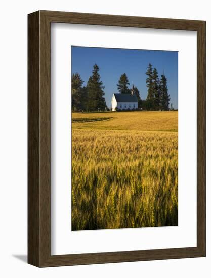 USA, Idaho, Freeze Community Church surrounded by harvest Wheat-Terry Eggers-Framed Photographic Print