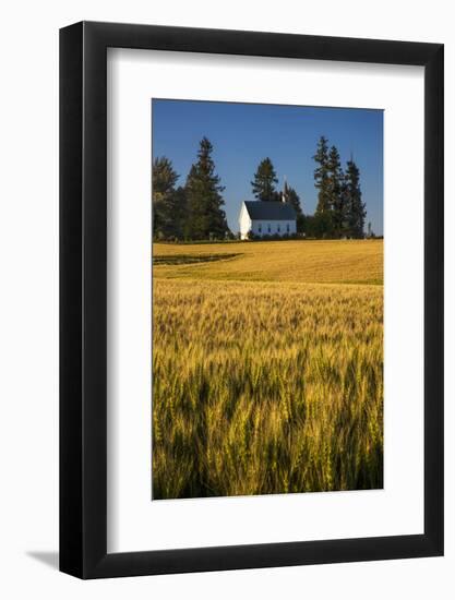 USA, Idaho, Freeze Community Church surrounded by harvest Wheat-Terry Eggers-Framed Photographic Print