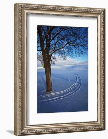 USA, Idaho, Lone Snow Covered Tree with Track Leading Away-Terry Eggers-Framed Photographic Print