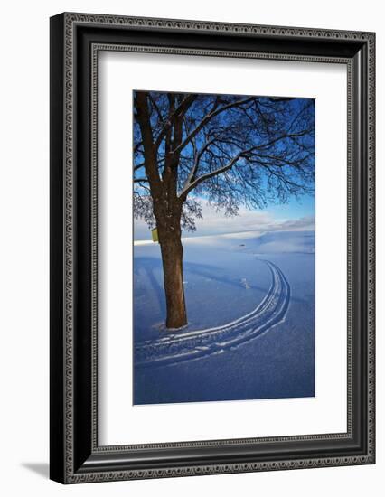 USA, Idaho, Lone Snow Covered Tree with Track Leading Away-Terry Eggers-Framed Photographic Print