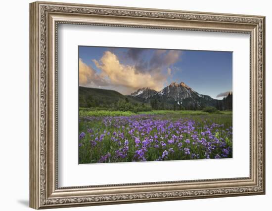 USA, Idaho. McGown Peak Sawtooth Mountains.-Alan Majchrowicz-Framed Photographic Print