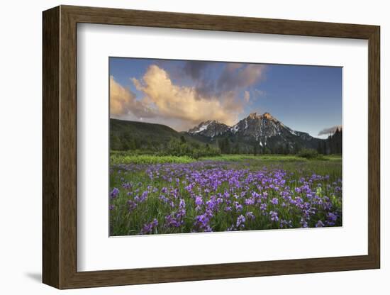 USA, Idaho. McGown Peak Sawtooth Mountains.-Alan Majchrowicz-Framed Photographic Print