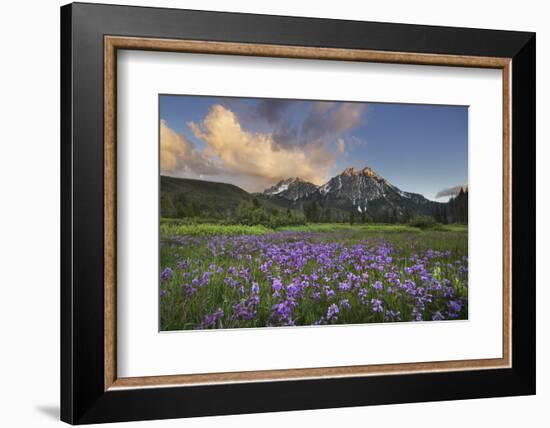 USA, Idaho. McGown Peak Sawtooth Mountains.-Alan Majchrowicz-Framed Photographic Print