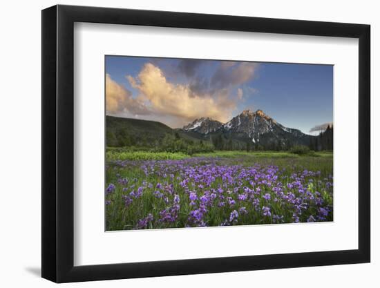 USA, Idaho. McGown Peak Sawtooth Mountains.-Alan Majchrowicz-Framed Photographic Print