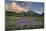 USA, Idaho. McGown Peak Sawtooth Mountains.-Alan Majchrowicz-Mounted Photographic Print