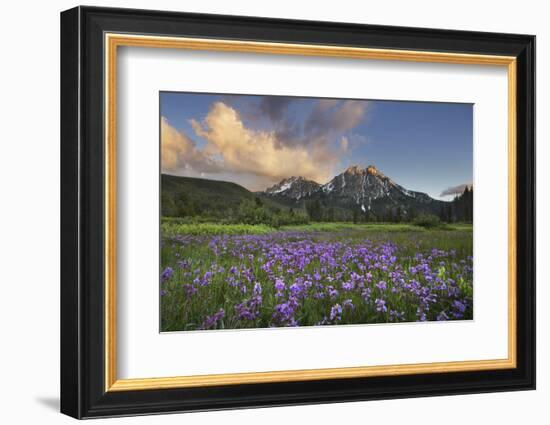 USA, Idaho. McGown Peak Sawtooth Mountains.-Alan Majchrowicz-Framed Photographic Print