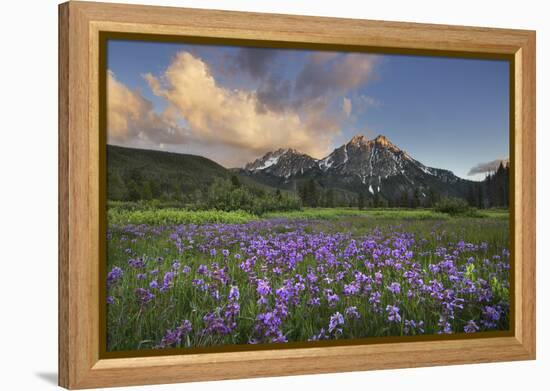 USA, Idaho. McGown Peak Sawtooth Mountains.-Alan Majchrowicz-Framed Premier Image Canvas