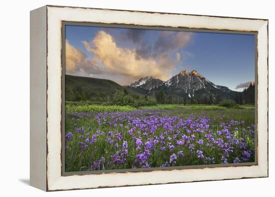 USA, Idaho. McGown Peak Sawtooth Mountains.-Alan Majchrowicz-Framed Premier Image Canvas