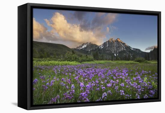 USA, Idaho. McGown Peak Sawtooth Mountains.-Alan Majchrowicz-Framed Premier Image Canvas