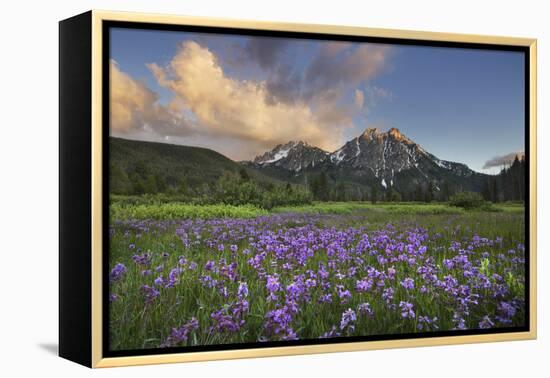 USA, Idaho. McGown Peak Sawtooth Mountains.-Alan Majchrowicz-Framed Premier Image Canvas