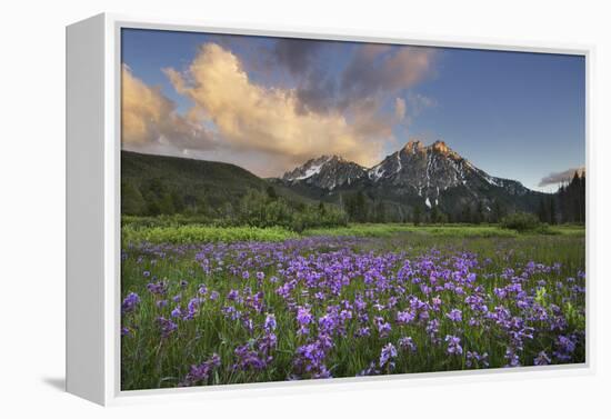 USA, Idaho. McGown Peak Sawtooth Mountains.-Alan Majchrowicz-Framed Premier Image Canvas