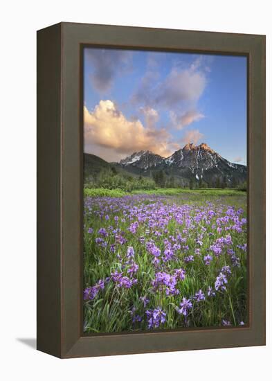 USA, Idaho. McGown Peak Sawtooth Mountains.-Alan Majchrowicz-Framed Premier Image Canvas