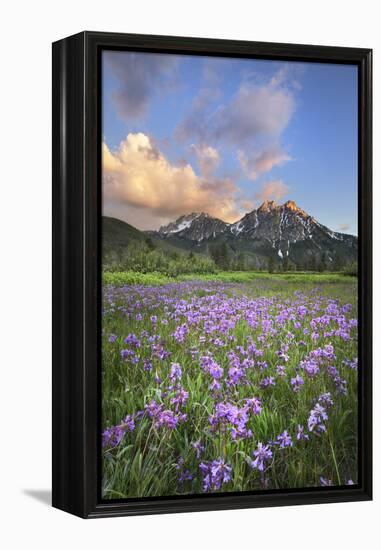 USA, Idaho. McGown Peak Sawtooth Mountains.-Alan Majchrowicz-Framed Premier Image Canvas