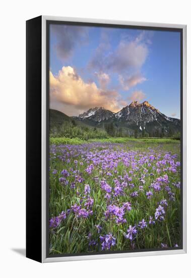 USA, Idaho. McGown Peak Sawtooth Mountains.-Alan Majchrowicz-Framed Premier Image Canvas