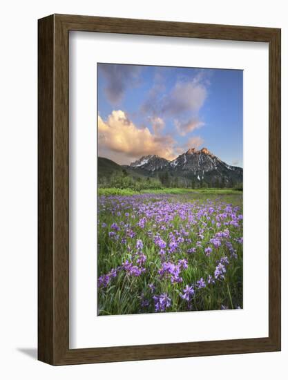 USA, Idaho. McGown Peak Sawtooth Mountains.-Alan Majchrowicz-Framed Photographic Print