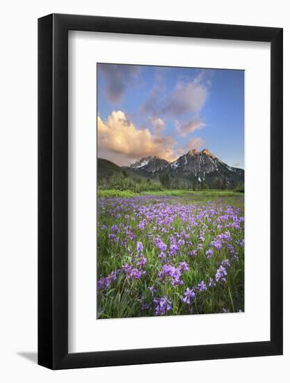 USA, Idaho. McGown Peak Sawtooth Mountains.-Alan Majchrowicz-Framed Photographic Print