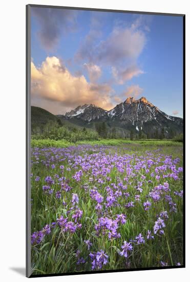 USA, Idaho. McGown Peak Sawtooth Mountains.-Alan Majchrowicz-Mounted Photographic Print