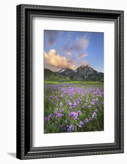 USA, Idaho. McGown Peak Sawtooth Mountains.-Alan Majchrowicz-Framed Photographic Print