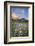 USA, Idaho. McGown Peak Sawtooth Mountains.-Alan Majchrowicz-Framed Photographic Print