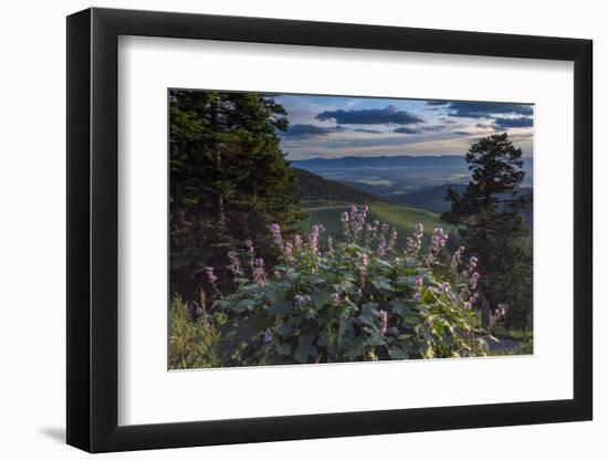 USA, Idaho. Mountain Globemallow and view of Teton Valley-Howie Garber-Framed Photographic Print