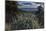 USA, Idaho. Mountain Globemallow and view of Teton Valley-Howie Garber-Mounted Photographic Print