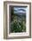 USA, Idaho. Mountain Globemallow and view of Teton Valley-Howie Garber-Framed Photographic Print