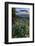 USA, Idaho. Mountain Globemallow and view of Teton Valley-Howie Garber-Framed Photographic Print