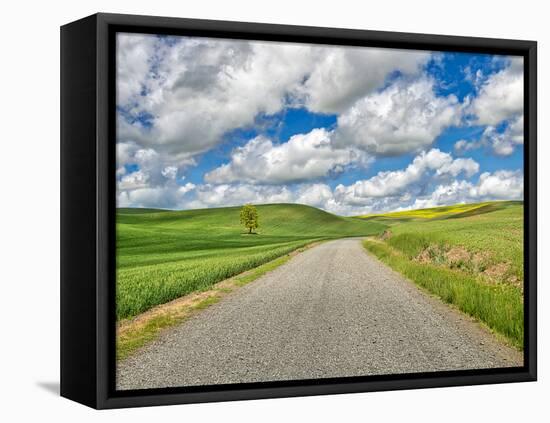 USA, Idaho, Palouse. Backroad with lone tree in wheat field-Terry Eggers-Framed Premier Image Canvas