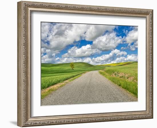 USA, Idaho, Palouse. Backroad with lone tree in wheat field-Terry Eggers-Framed Photographic Print