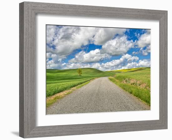 USA, Idaho, Palouse. Backroad with lone tree in wheat field-Terry Eggers-Framed Photographic Print