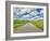 USA, Idaho, Palouse. Backroad with lone tree in wheat field-Terry Eggers-Framed Photographic Print