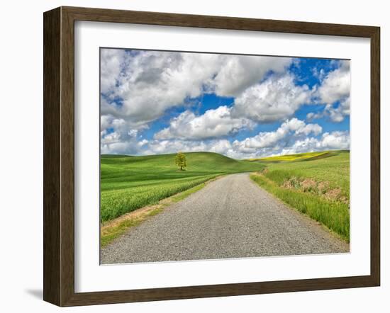 USA, Idaho, Palouse. Backroad with lone tree in wheat field-Terry Eggers-Framed Photographic Print