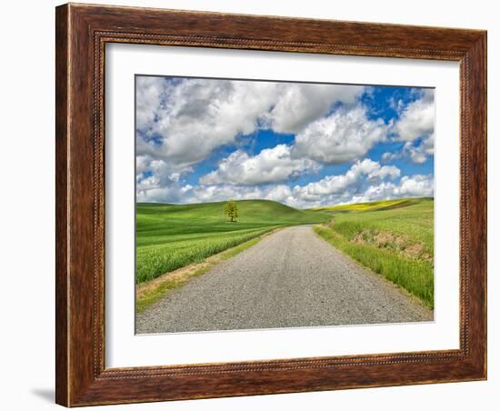 USA, Idaho, Palouse. Backroad with lone tree in wheat field-Terry Eggers-Framed Photographic Print