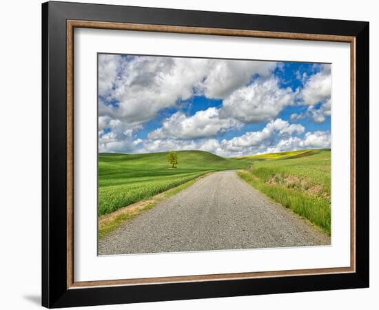 USA, Idaho, Palouse. Backroad with lone tree in wheat field-Terry Eggers-Framed Photographic Print