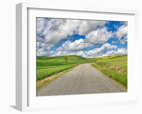 USA, Idaho, Palouse. Backroad with lone tree in wheat field-Terry Eggers-Framed Photographic Print